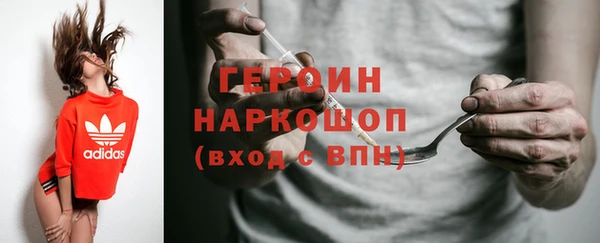гидра Гусев