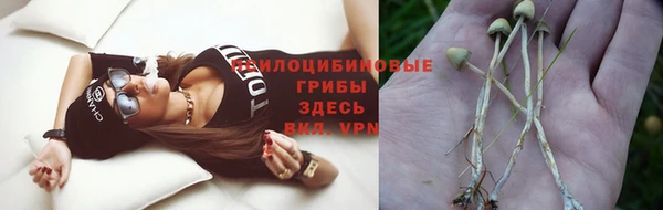 твердый Абинск
