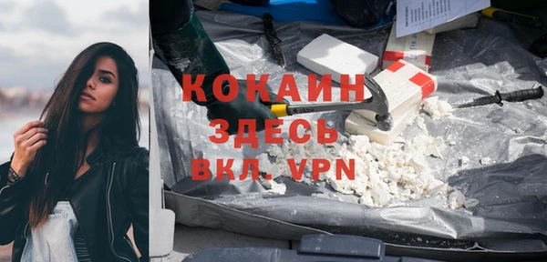 тгк Пестово